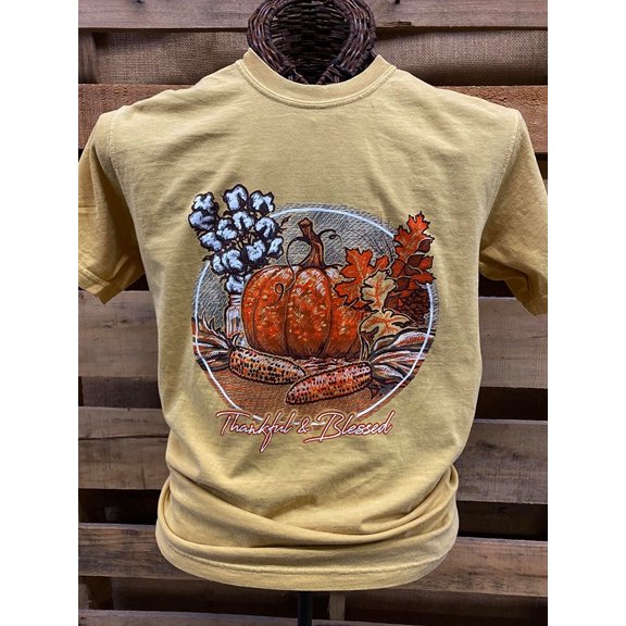 SALE Southern Chics Apparel Thankful Blessed Pumpkin T Shirt