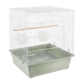 thumbnail image 1 of Vibrant Life Small Bird Cage with Perch, Plastic Hooded Cup & Tray for Parakeets & Finches, White, 1 of 8