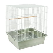 Vibrant Life Small Bird Cage with Perch, Plastic Hooded Cup & Tray for Parakeets & Finches, White