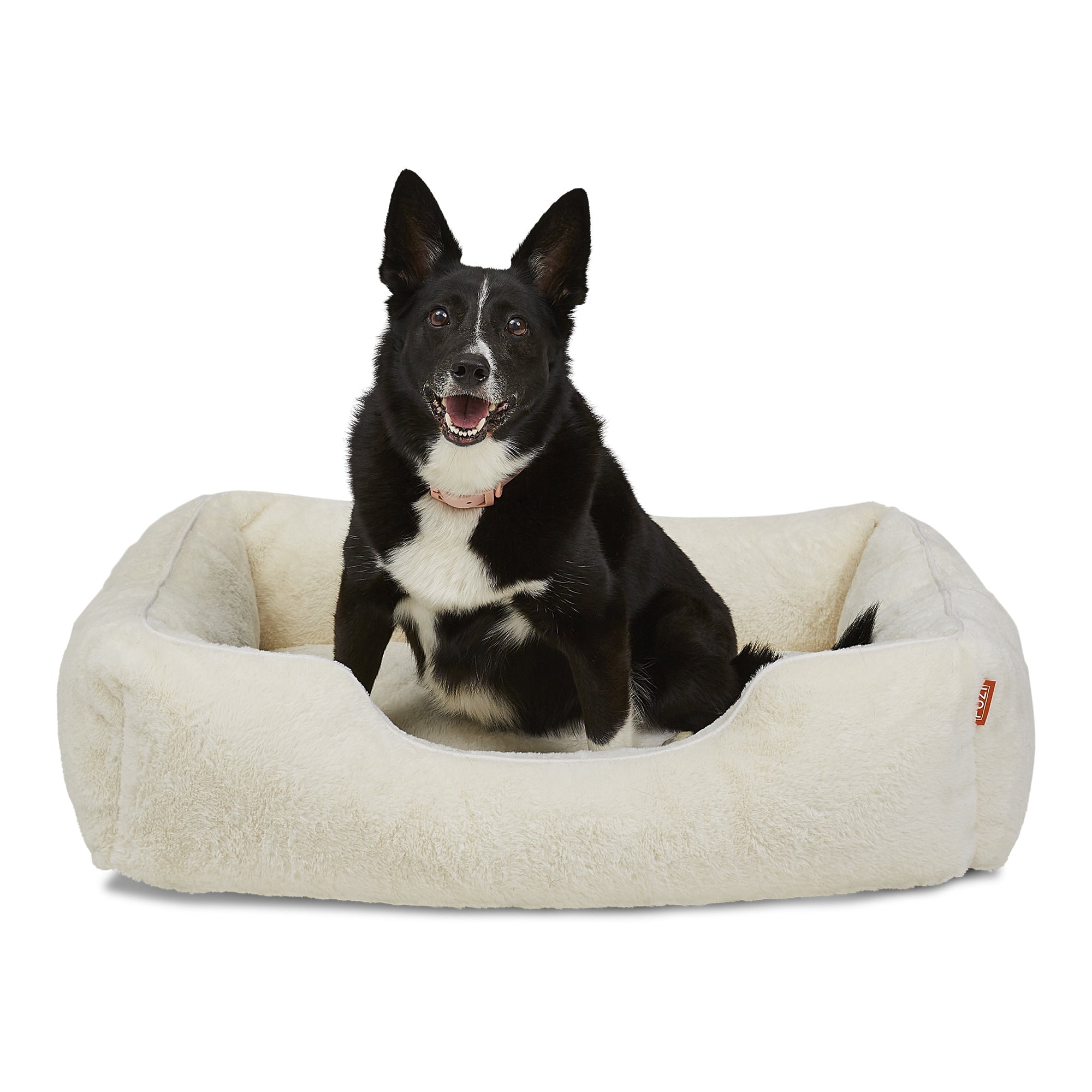 Bmw dog bed cheap