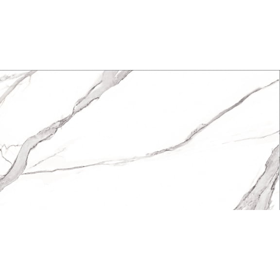 SAMPLE-Luxaura 24-in. x 48-in. Polished Large Format Natural Stone/Marble Porcelain Wall & Floor Tile