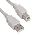 thumbnail image 1 of SANOXY Cables and Adapters; 6ft USB 2.0 A Male to B Male Cable, Ash White, 1 of 1