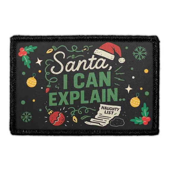 Santa I Can Explain - Removable Patch