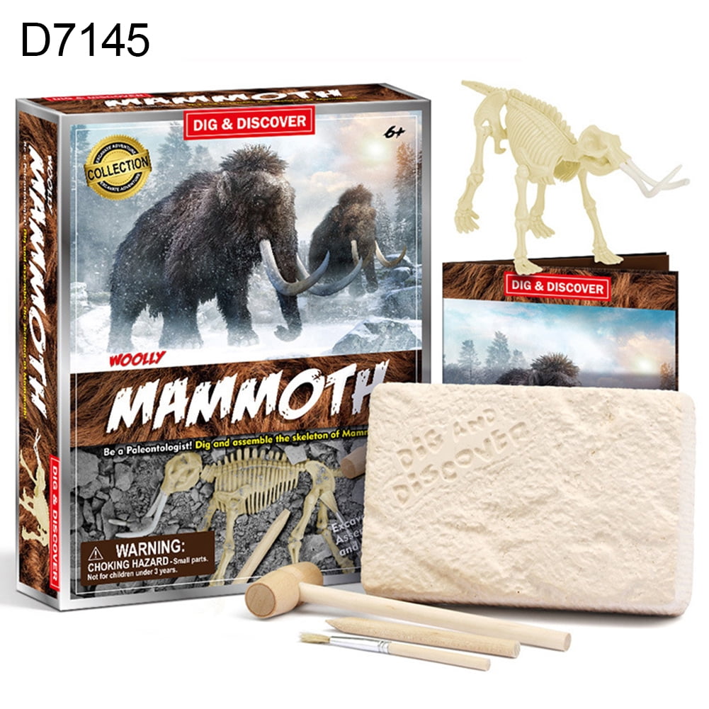 SANWOOD DIY Dinosaur Skeleton Toy Kids DIY Assembly Dinosaur Skeleton