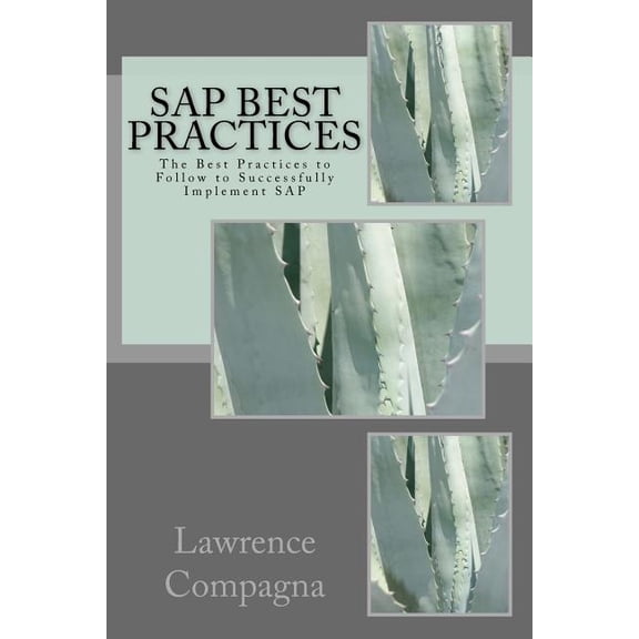 SAP Best Practices : The Best Practices to Follow to Successfully Implement SAP (Paperback)