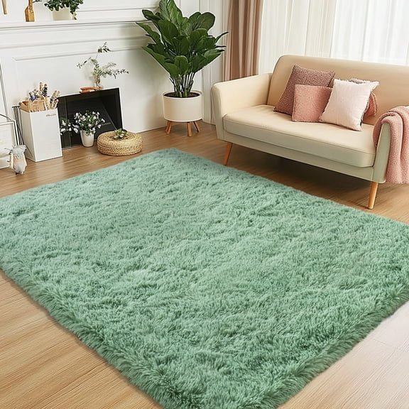 SARAG Fluffy Rug for Living Room, 4x6 Mint Green Modern Minimalist Home Decor Carpet for Boys Girls Bedroom Bedroom Nursery Game Room