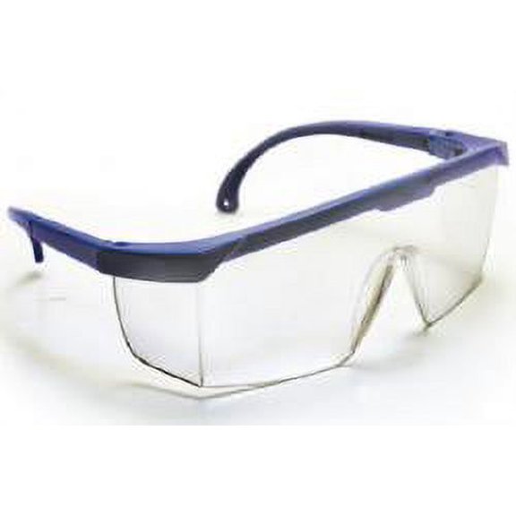 S A S SAFETY CORP HORNET SFTY GLS BLUE FRM-CLR LNS