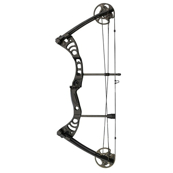 SAS Scorpii Archery Compound Bow 290 FPS Hunting Target