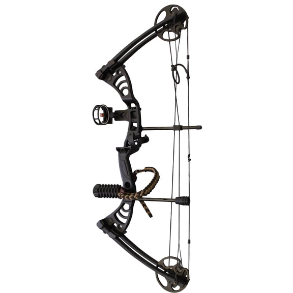 SAS Scorpii Right-Handed Adult Compound Bow (Intermediate)