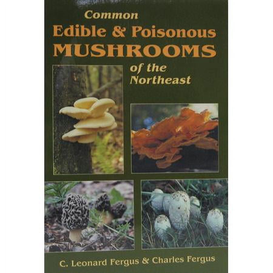 SAS Survival Handbook: For Any Climate, in Any Situation (Paperback) by John Lofty Wiseman