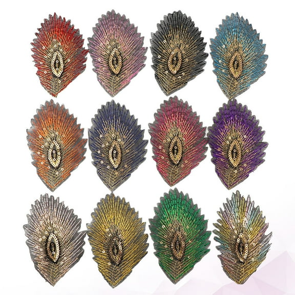 SASABAXI Shaped Embroidery Sewing Appliques 12Pcs Multi Colored Fabric Sequin for Diy Projects Clothing