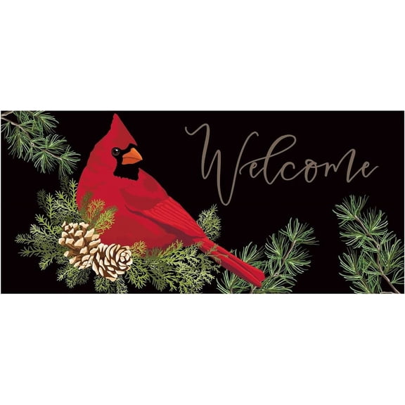 SASSAFRASS Cardinal Welcome Switch Mat Interchangeable Entrance Doormat | Indoor and Outdoor | 22-inches x 10-inches | Non-Slip Backing | All-Season | Low Profile