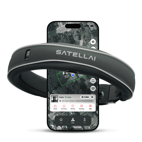 SATELLAI GPS Dog Collar with Wireless Fence, AI Analysis & Precise Positioning - 5-Day Battery, IP68 Waterproof, Gray