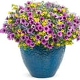 SATLOTY Garden Plants Flower OIF8 Seeds 2000+ Calibrachoa Petunia