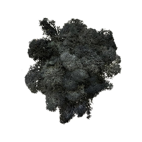 SATRINO Fake Green Moss for Potted Plants, Moss Decor Artificial Faux Moss for Crafts Preserved Moss for DIY Decorative Moss Table Centerpieces Decor Fairy Garden Floral Wedding