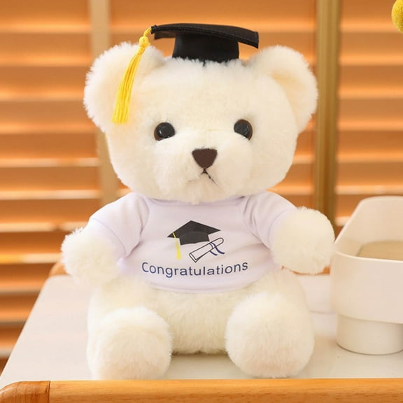 SATRINO Graduation Gift 2025 for Her Him Cute 9.05" College Graduation Stuff Present Handmade Bear Doll with Doctoral Hat Emotional Positive Class of 2025, High School, University, Teachers