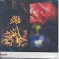 thumbnail image 1 of SAULE, 1 of 1