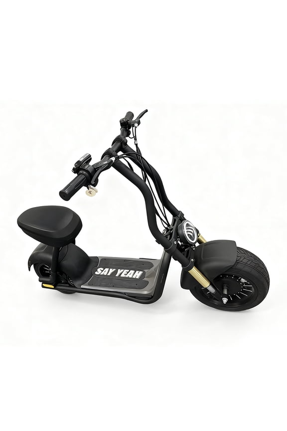 Electric Fat Tire Scooter 48V Hub Motor Lithium Powered