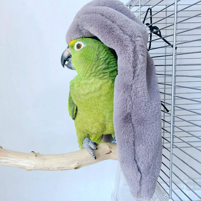 How to Keep Parakeets Warm: Essential Tips for Cozy Avian Comfort