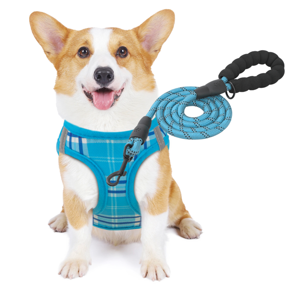 SAZYY No Pull Dog Harness w/Leash Set, Reflective Soft Puppy Padded Vest for Walking, Training, Easy to Put on Small Dogs -Sky Blue