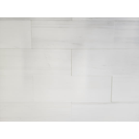 SB Tile and Stone Bianco Dolomite 4x12" Glossy Sample Tile