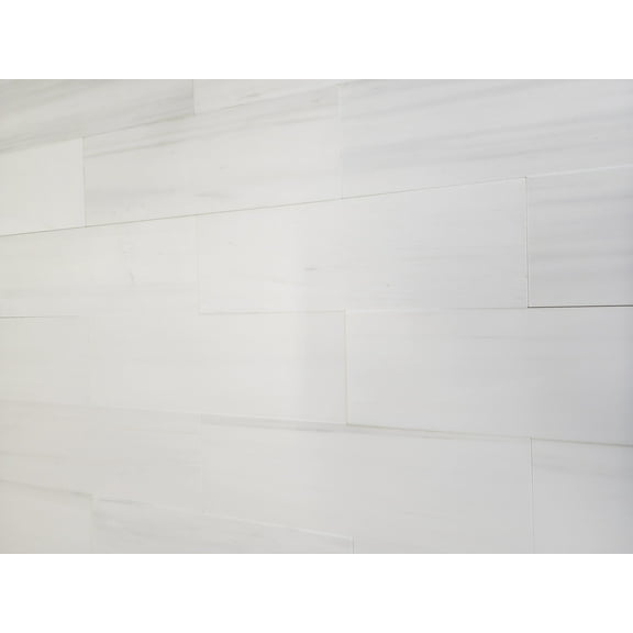 SB Tile and Stone Bianco Dolomite 4x12" Matte Sample Tile