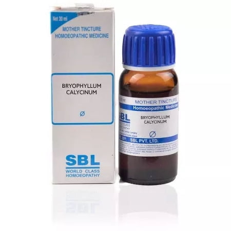 SBL Bryophyllum Calycinum Mother Tincture Q
