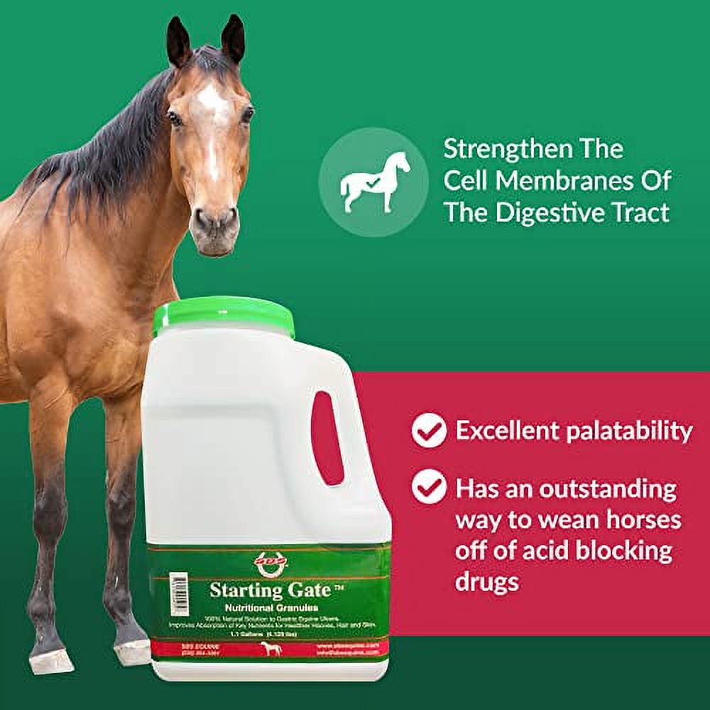 SBS Equine Starting Gate Granules for Horses Horse calming Supplement