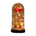thumbnail image 1 of SBYOJLPB Battery Powered Glass Rose Light Multicolor Led Flower Little Bears Night Lamp for Valentines Day Gift, 1 of 6