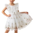 thumbnail image 1 of SBYOJLPB Girls' Summer Dress Sleeveless Ruffled Round Neck Lace Embroidery Mesh Princess Bow Skirt Casual Sundress, 1 of 9