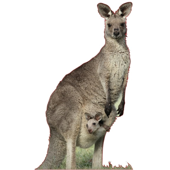 SC2178 Kangaroo and Joey Cardboard Cutout