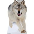 thumbnail image 1 of star cutouts pig w piglet cardboard cutout life size standup, 1 of 1