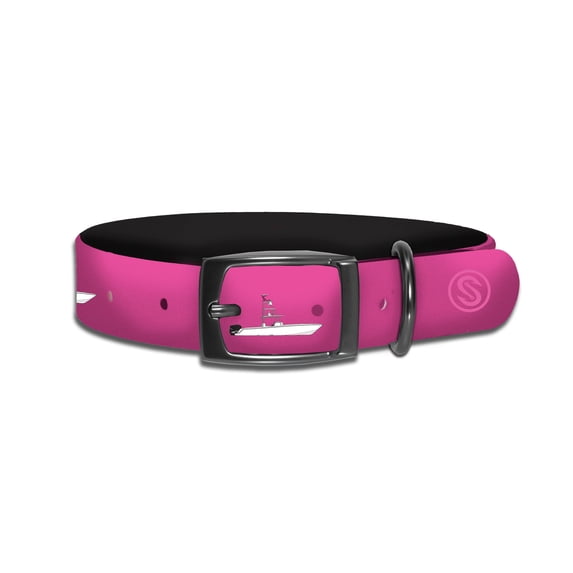 SCALES Center Console Pet Collar Aqua, XLarge Accessories