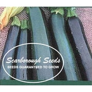 SCARBOROUGH SEEDS BLACK BEAUTY 25 SEEDS SQUASH ZUCCHINI NON-GMO Open-Pollinated