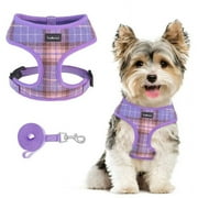 SCENEREAL Puppy Dog Harness with Leash Set for Small Medium Sized Dogs, Soft Mesh Step in Pet Harnesses and Leash, No Chock Plaid Adjustible No Pull Vest for Dogs Cats, Chihuahua,Bulldog