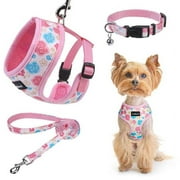 SCENEREAL Small Dog Harness Collar and Leash Set, Adjustable No Pull Pet Harnesses, No Chock Soft Mesh Step in Vest for Doggie Puppy Medium Dogs Cats Girl or Boy,Chihuahua, Yorkie, Outdoor Walking