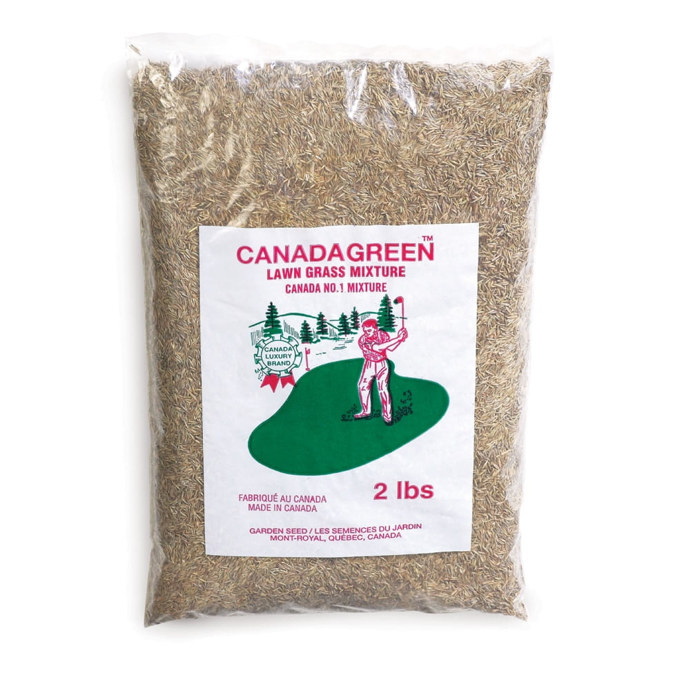 SCG Canada Green Grass Grows Healthy Rich Green Grass Lawn Seed- 2 Pound Bag Green