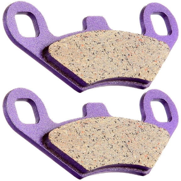 SCITOO Carbon Fiber Brake Pads Fit for 1988 1989 1990 1991 1992 1993 1994 1995 1996 1997 1998 1999 2000 2001 2002 2003 2004 2005 2006 2007 2008 2009 2010 2011 2012 2013 2014 Polaris