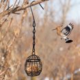 thumbnail image 1 of SCNOR Black Wrought Iron Hanging Bird Feeder for Suet Seed Balls, Cage Design Outdoor Garden Yard Decor for Wild Birds, 1 of 6