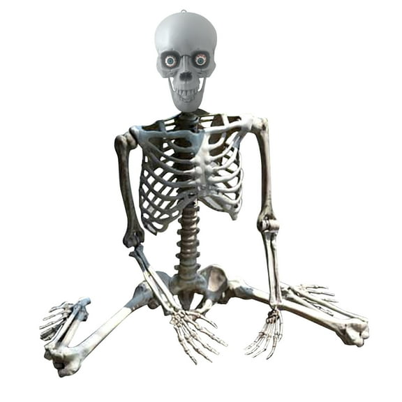 SCNOR Halloween Life Size Skeleton,Posable Skeletons,Full Size Skeleton Decor,Fall Party Decorations,5 ft