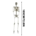 thumbnail image 1 of SCNOR Halloween Life Size Skeleton,Posable Skeletons,Full Size Skeleton Decor,Fall Party Decorations,6 ft, 1 of 4