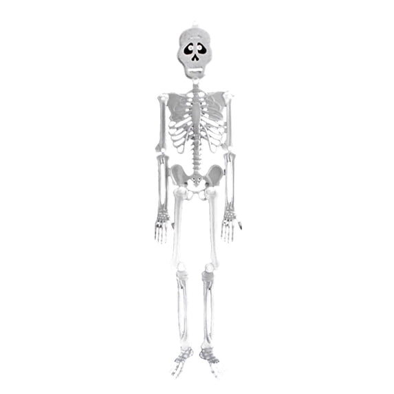 SCNOR Halloween Mini Skeleton Decor,Small Skeletons Fall Party Decorations,2 Pcs,8 inch