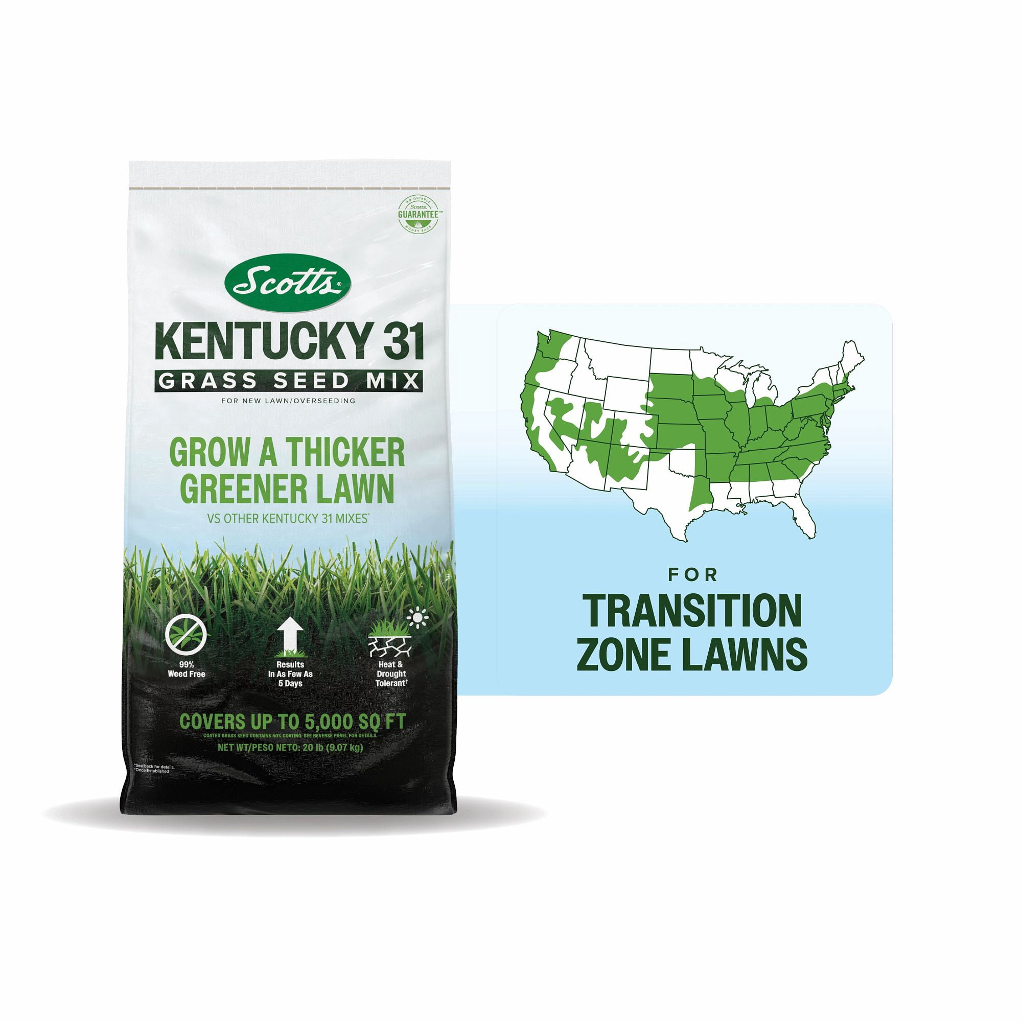 Scotts® Kentucky 31 Grass Seed Mix, For New Lawns or Overseeding