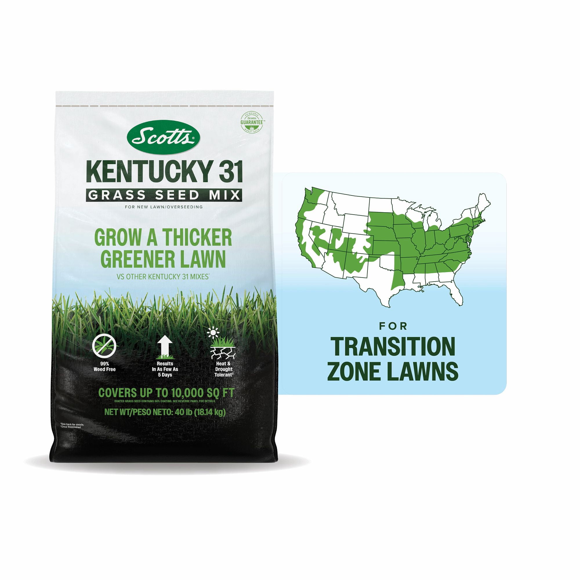Scotts® Kentucky 31 Grass Seed Mix, For New Lawns or Overseeding, 40 lbs.