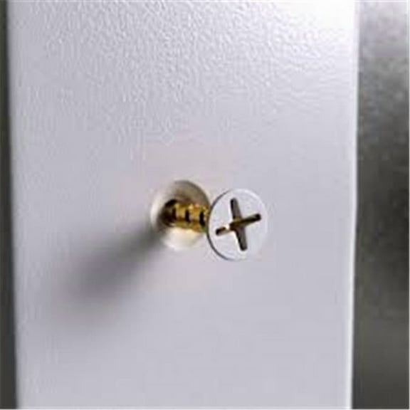 SCREWS FOR WINDOW FRAMES, BLACK, 100/BAG