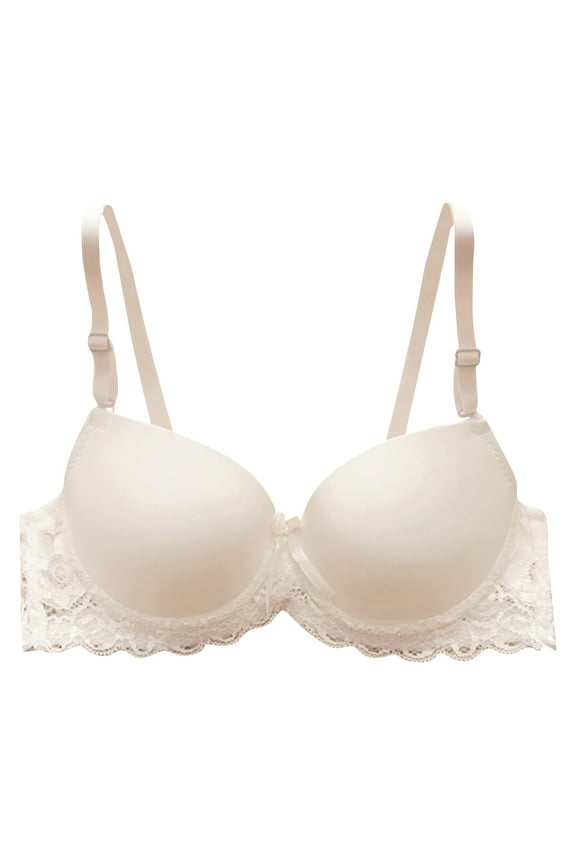 Women's Full Coverage Push Up Bra Padded Bras Wired T-Shirt Bras with Rose Lace Wings Lace Band