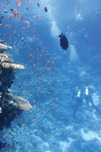 SCUBA Diving (Paperback)