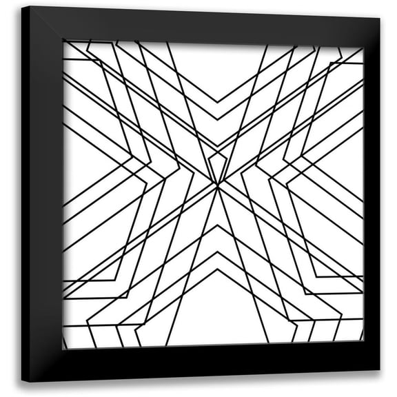 SD Graphics Studio 12x12 Black Modern Framed Museum Art Print Titled - Black Geo