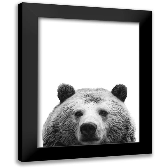 SD Graphics Studio 12x14 Black Modern Framed Museum Art Print Titled - Furry Friend