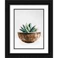 thumbnail image 1 of SD Graphics Studio 25x32 Black Ornate Wood Framed with Double Matting Museum Art Print Titled - Succulent in Gold Pot II, 1 of 4